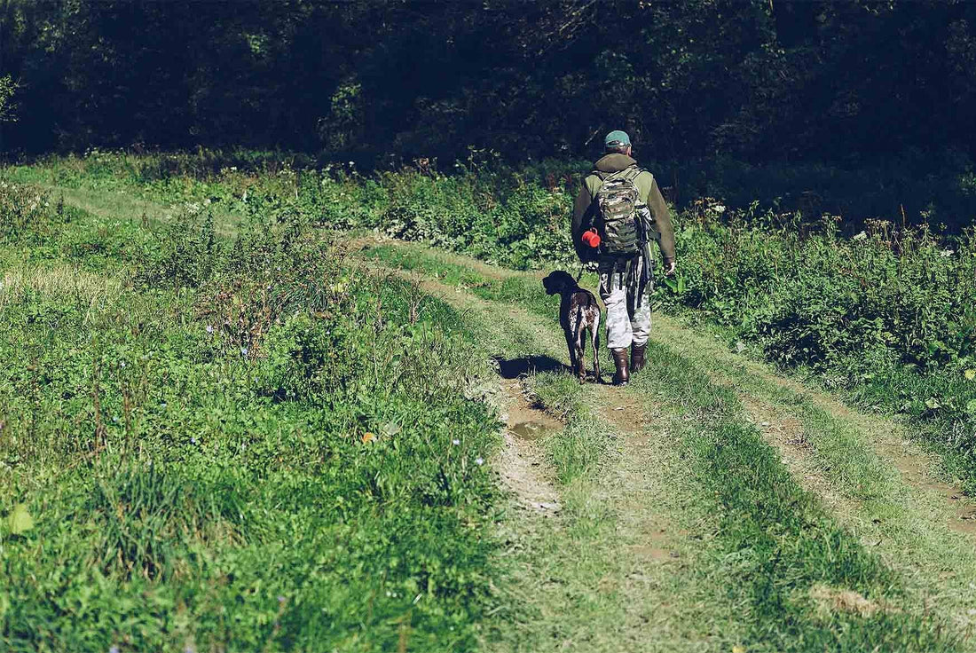 TOP 7 Tipps zum Überleben in der Natur